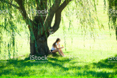 Expensive iStock (Signature)